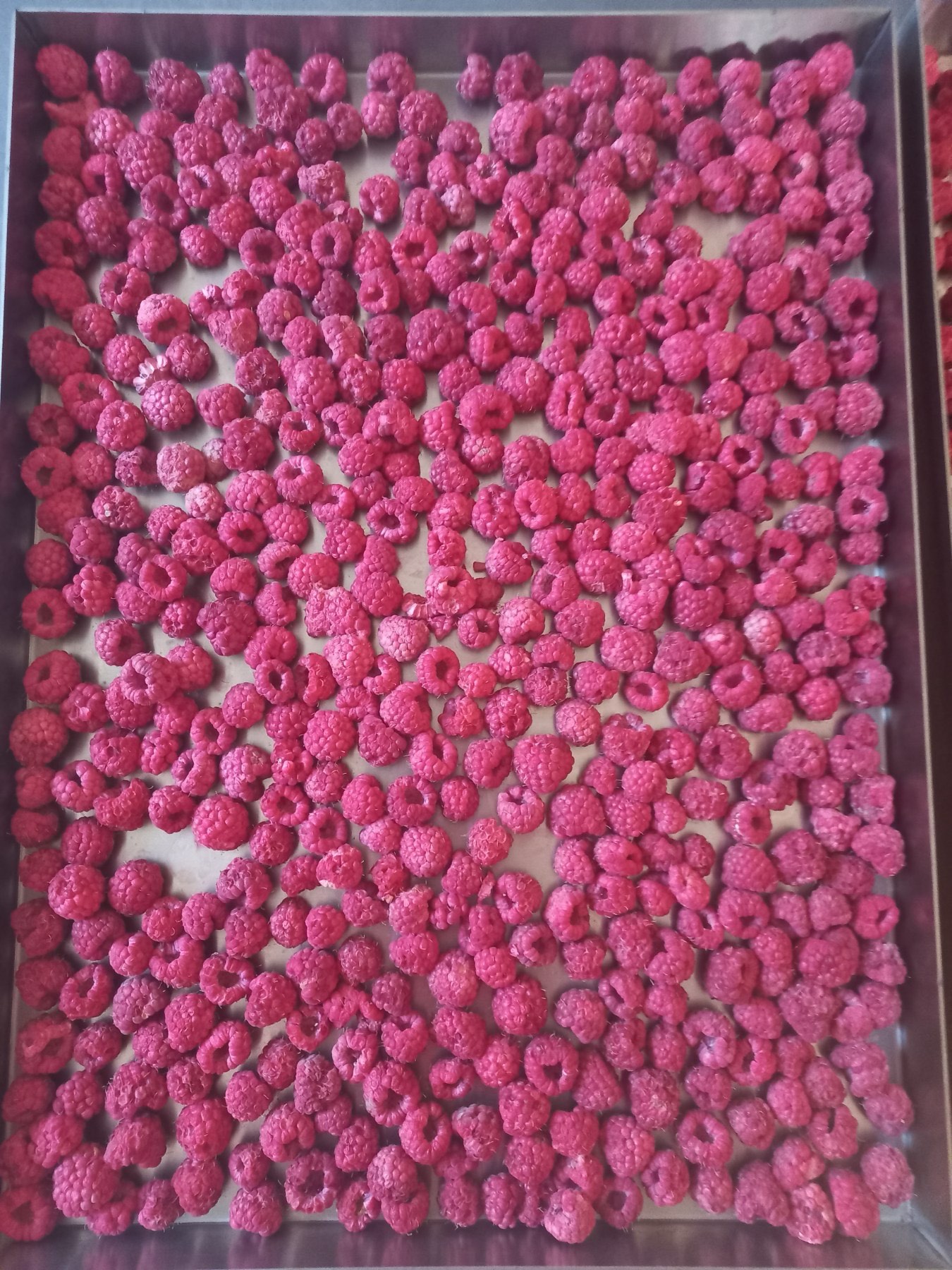 изображение_viber_2025-08-31_15-14-09-227